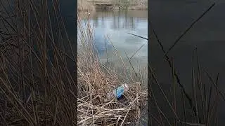 воїни на рибалці.