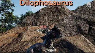 The best Dilo Guide Gameplay | The Isle Evrima Gateway| Gameplay