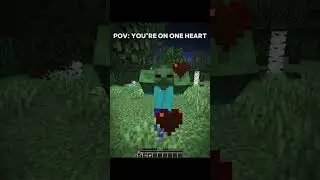 Minecraft moment