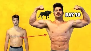 I Ate Bull Test*cle Powder Every Day for 10 Days