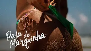 PALA DE MARQUINHA - NININHA PROBLEMÁTICA  (VISUALIZER)