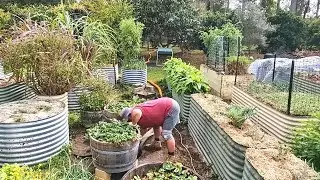 How We Recycle ALL Our House Wastewater Into The Garden