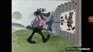 Muzyka