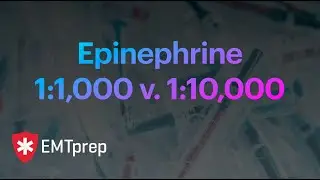 Epinephrine 1:1,000 v. 