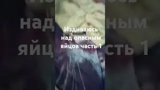 10 августа 2024 г.