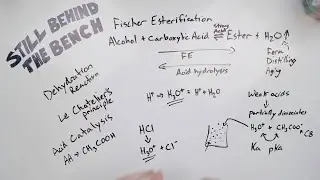 Ep 035 - Flavourtown Part IIIb - Fischer esterification