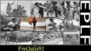 eplf frekalsi young eplf freqalsi91 eplf eritrea freqalsi