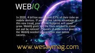 Wesay WebIQ