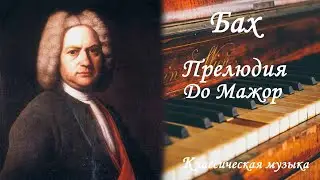 Классическая музыка Бах Прелюдия до Мажор /Classical Music Bach Prelude in C Major