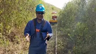 As Atividades da Ong Amigos do Trem