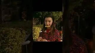 Ayşegül Neden Toygarı Seçmedi