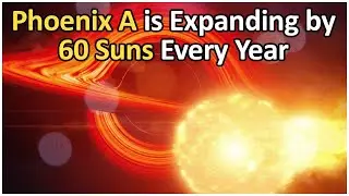 Phoenix A - The Largest Black Hole In The Universe