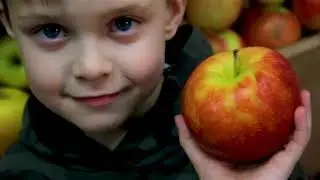 #ЗОЖГИ. Выпуск 25 ноября 2019 года