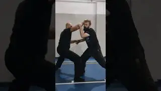 Hoko no kamae applications. #ninjutsu #shadowwarrior #bujinkan #selfdefense #martialarts #ninja
