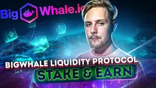 BIGWHALE.IO 3 MONTHS UPDATE - TVL OF 2700+ BNB, PAYOUTS OF 3000+ BNB