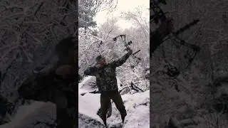 MOUNTAIN LION With A Bow