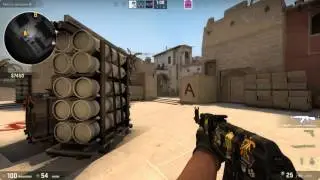 Counter strike  Global Offensive H