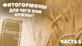 БЛАГО | ФИТОГОРМОНЫ | Часть 6 |