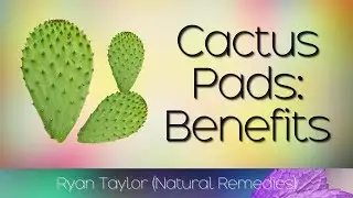 Cactus Leaf: Benefits & Uses (Nopales)