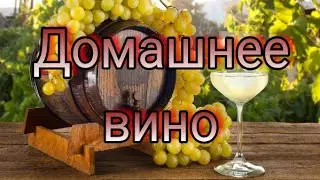 Домашнее виноградное вино. Рецепт.