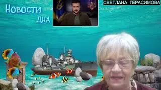Новости Дна. Предсказания Жириновского. Израиль останавливает третью мировую войну