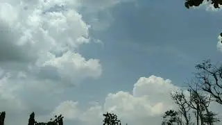 Suara burung aneh menyambut musim hujan