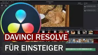 DaVinci Resolve: Das beste kostenlose Schnittprogramm | Videos schneiden mit DaVinci Resolve