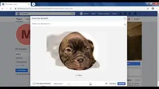 Como hacer una Fan Page en Facebook /  2020