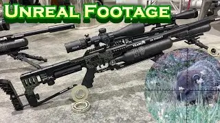 The BEST Woodchuck Hunting Footage, EVER | Airgun Hunting | FX Impact