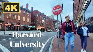 Harvard University 🇺🇸 4K Walk | Cambridge, Massachusetts