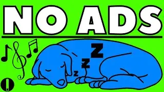 CALMING MUSIC FOR DOGS (NO ADS)