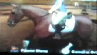 Belle - Lucinda Green's Equestrian Challenge *The Best Horse*