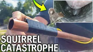 Using a BORESCOPE to CLEAN OUT a CLOGGED VENT PIPE
