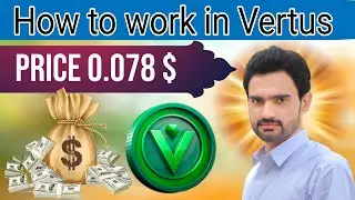 Vertus: The Most Important Mining Project You’ve Never Heard