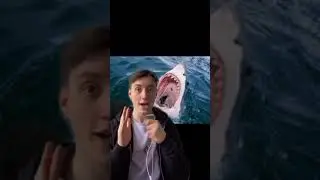 How To Survive A Shark Attack! 