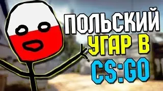 ПОЛЬСКИЙ УГАР В CS:GO