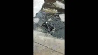 ЗИМОЙ И ЛЕТОМ ОДНИМ ЦВЕТОМ