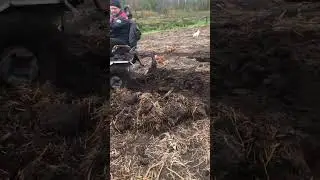 27 октября 2023 г.