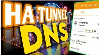 How to Set Up HA Tunnel DNS Settings