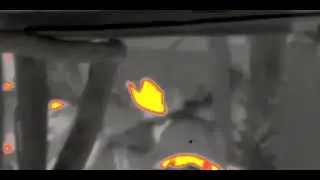 Ukrainians surrendering to Russian outpost at night
