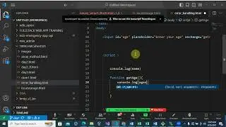 JavaScript Error Handling