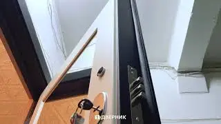 Входная дверь с зеркалом 