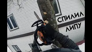 Спил липу которая росла через крышу навеса
