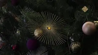 Christmas video 2019