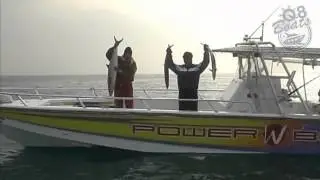 تشخيط الجزء الثاني اياد الفيلكاوي