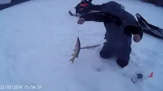 Чемаши