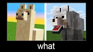 llama vs the wolf.... hmmmm... Minecraft wait what meme part 4