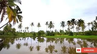 Kerala piravi//kerala piravi whatsapp status