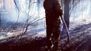 Пожежа в лісі!!!