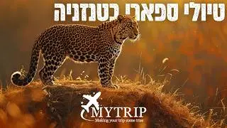 טיולי ספארי בטנזניה עם מיי טריפ - מה שאצל אחרים נחשב פרימיום, אצלנו זה הבייסיק